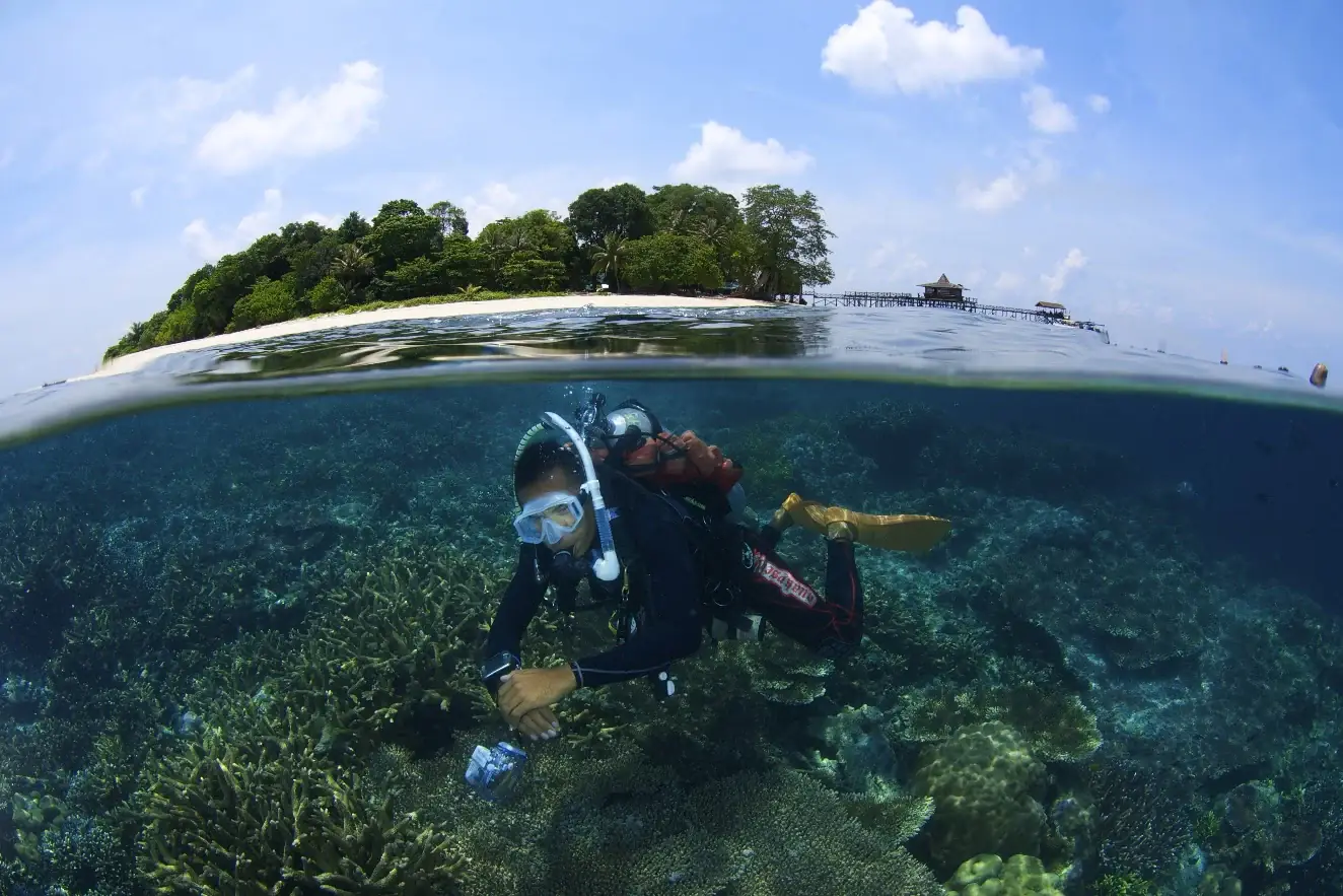 A diver exploring a coral reef beneath the surface beside a forested Sabah island